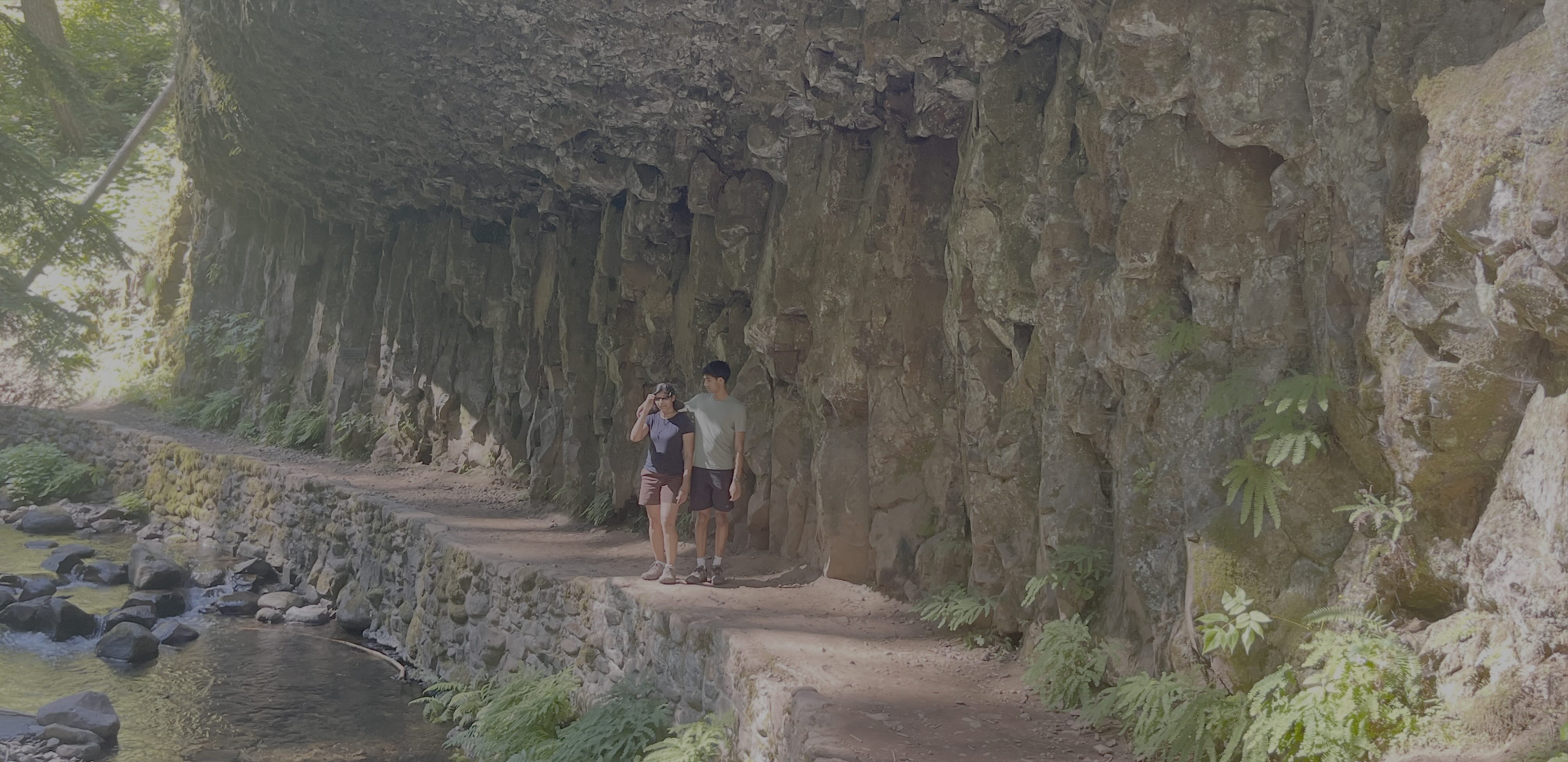 LarchMountainTrail.jpg