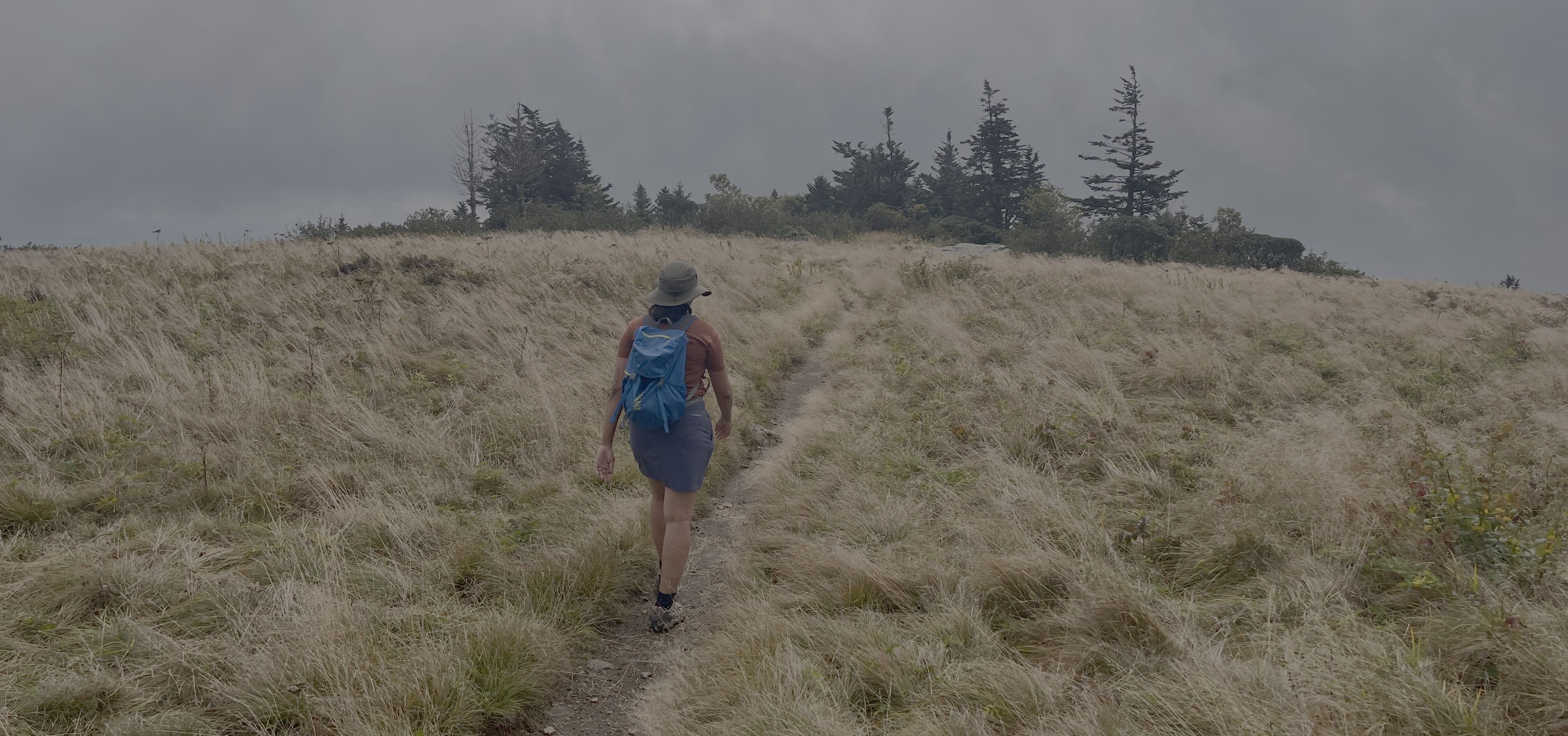 At 6100' atop Grassy Ridge Bald GrassyRidge.jpg