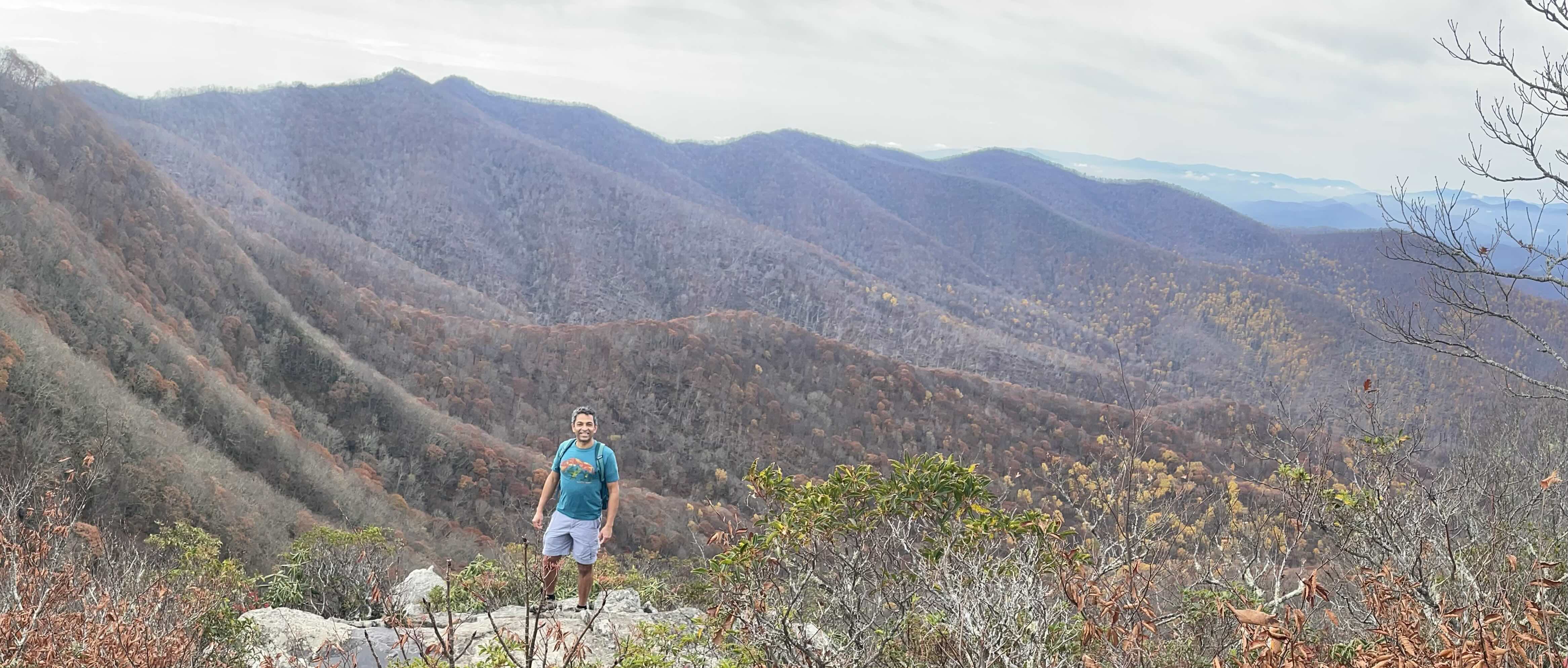 HawkbillRockSurroundings.jpg