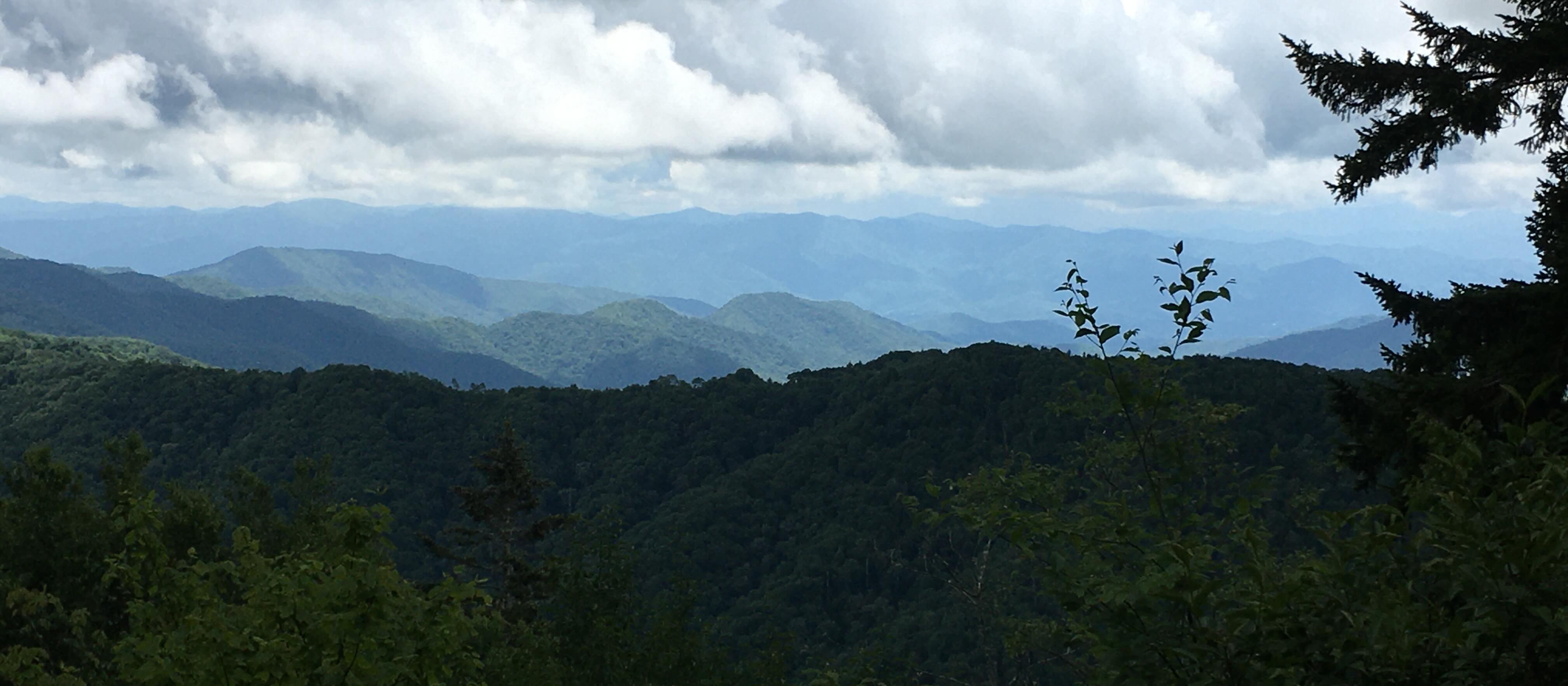 View from the AT at the Sweet Heifer Creek Trail SweetHeiferCreekTrail.jpg