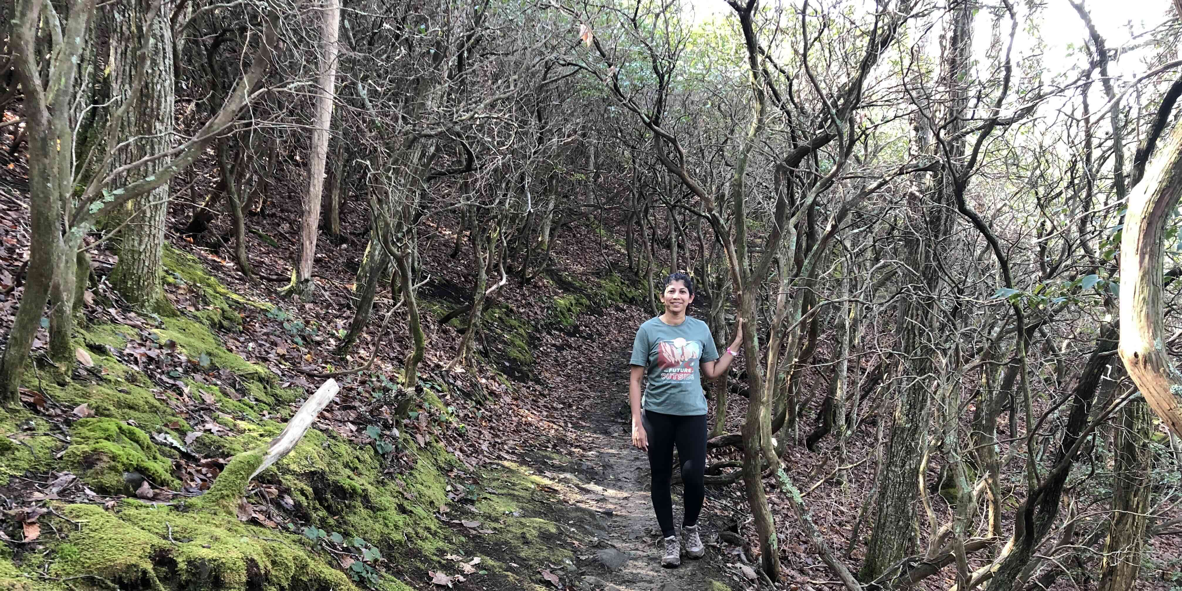 RattlesnakeLodgeTrail.jpg